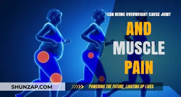 Obesity's Link to Joint and Muscle Pain