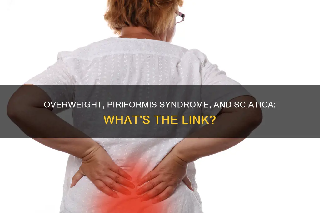 can being overweight cause piriformis muscles and sciatic pain