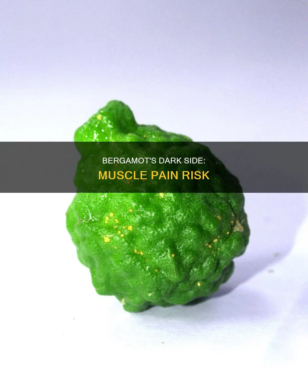 can bergamot cause muscle pain