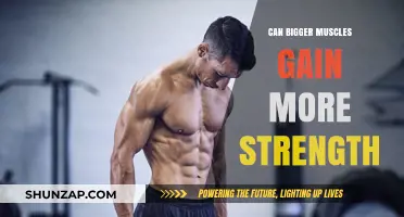 Bigger Muscles, Greater Strength? Unraveling the Muscle Size-Power Connection
