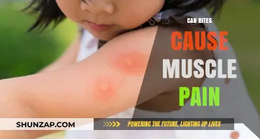 How Can Bug Bites Cause Muscle Pain?