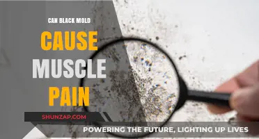 Black Mold and Muscle Pain: Is There a Link?