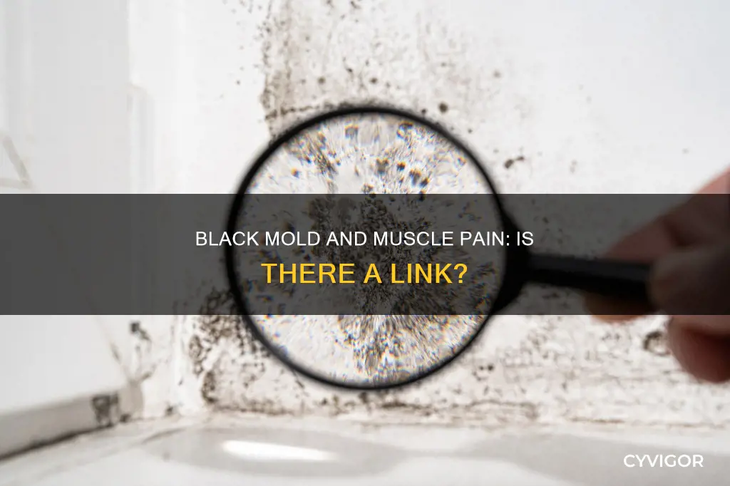 can black mold cause muscle pain