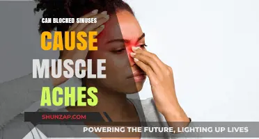 How Sinus Congestion Triggers Muscle Pain and Aches