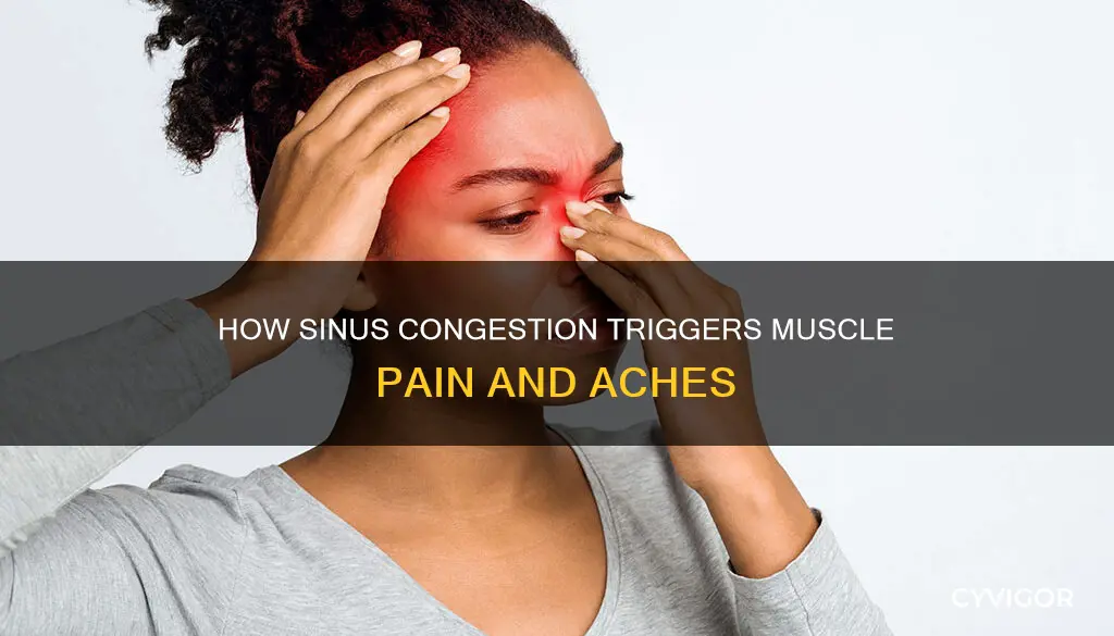 can blocked sinuses cause muscle aches