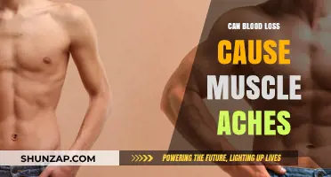 Blood Loss and Muscle Aches: What's the Connection?