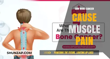 Bone Cancer and Muscle Pain: Is There a Link?
