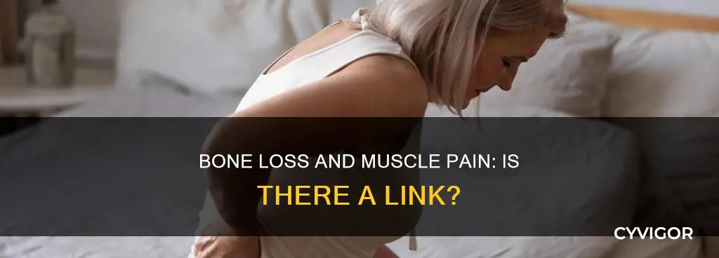 can bone loss cause muscle pain