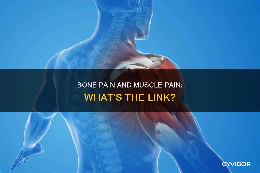 can bone pain cause muscle pain