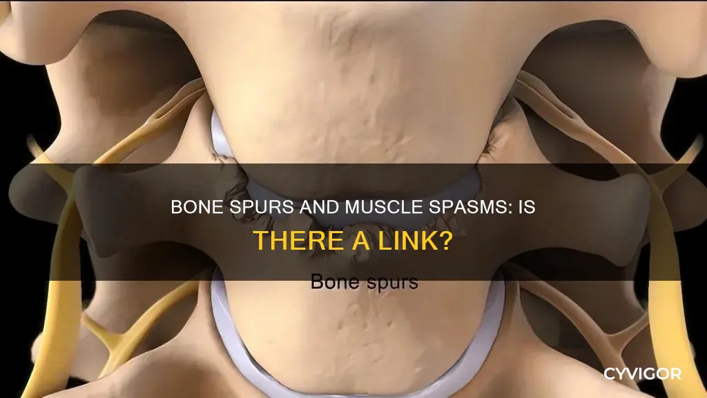can bone spurs cause muscle spasms