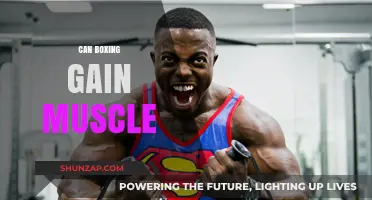 Can Boxing Build Muscle? Unlocking Strength Through Punches and Training