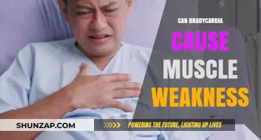 Bradycardia and Muscle Weakness: Is There a Link?