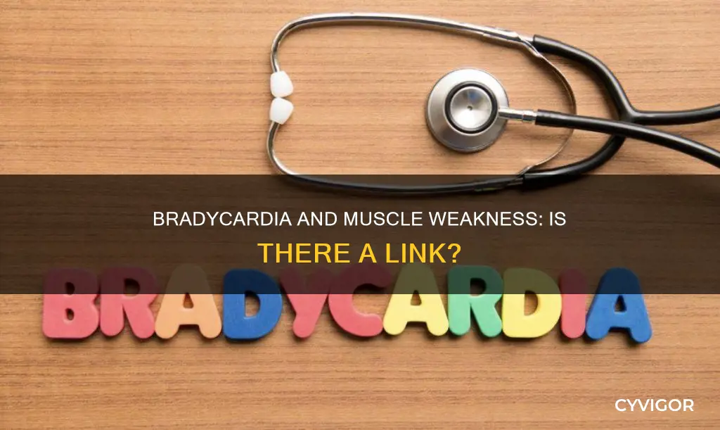can bradycardia cause muscle weakness