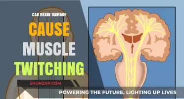 Brain Damage and Muscle Twitching: What's the Link?