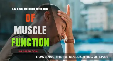 Brain Infections: Muscle Function Loss and Recovery