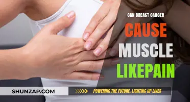 Breast Cancer: Understanding Muscle Pain Symptoms