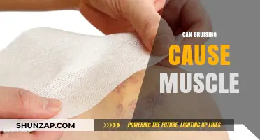 How Bruising Can Transform Muscle Tissue