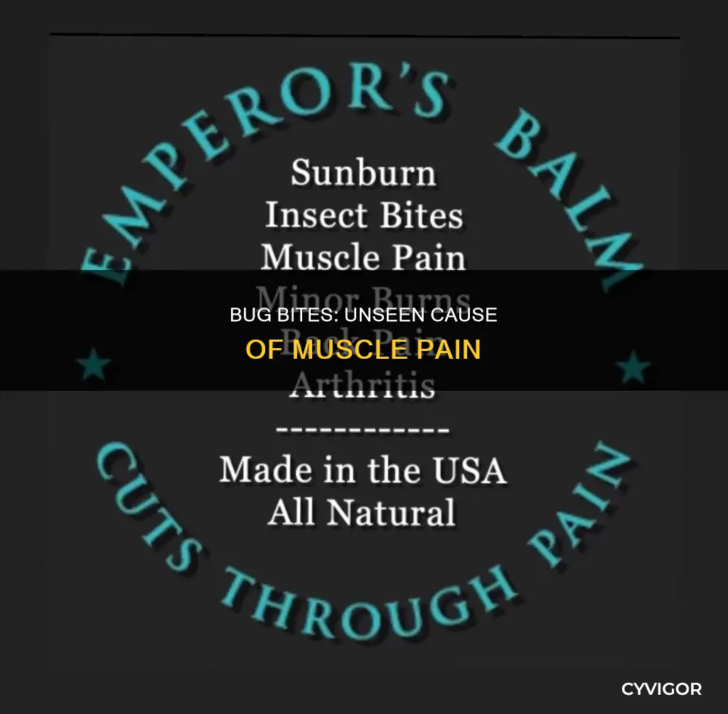 can bug bites cause muscle pain