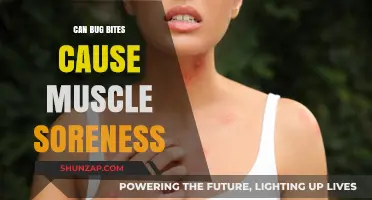 Bug Bites and Muscle Soreness: Is There a Link?
