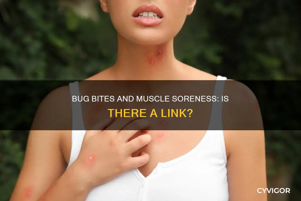 can bug bites cause muscle soreness