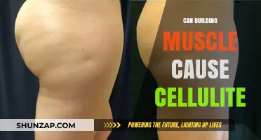 Building Muscle: Cellulite's Best Friend or Foe?