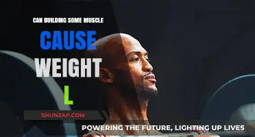 Muscle Gain: The Weighty Truth