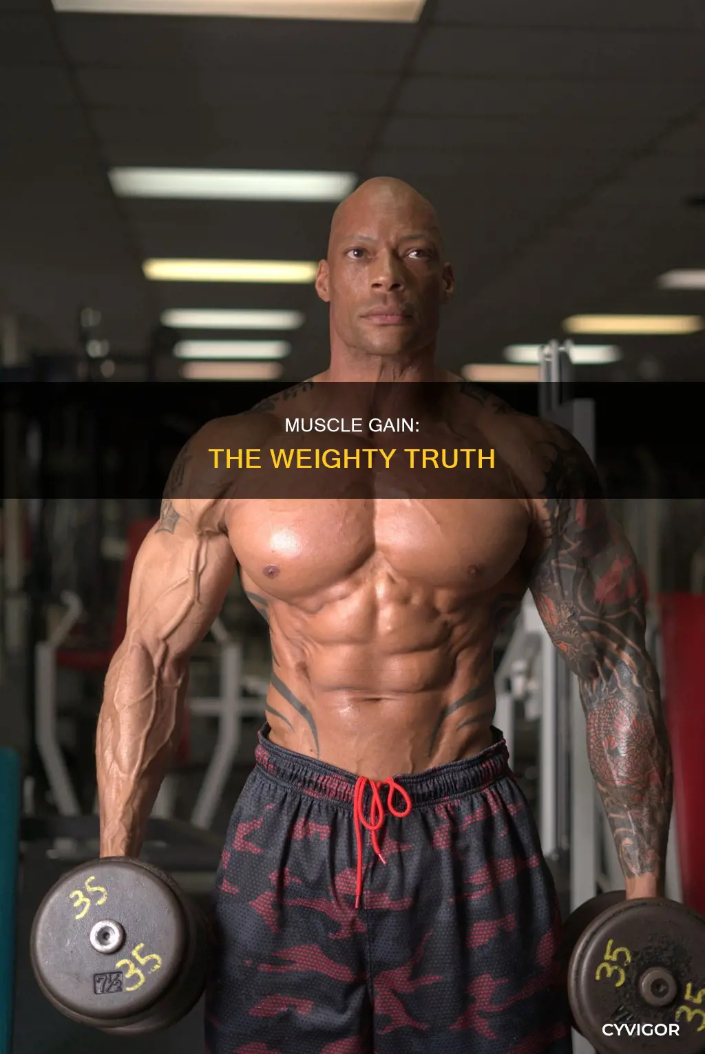 can building some muscle cause weight l