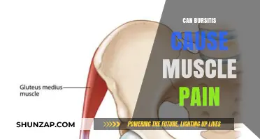 Bursitis and Muscle Pain: What's the Link?