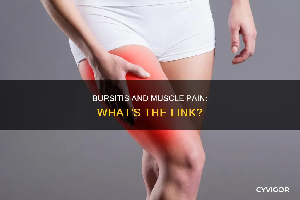 can bursitis cause muscle pain
