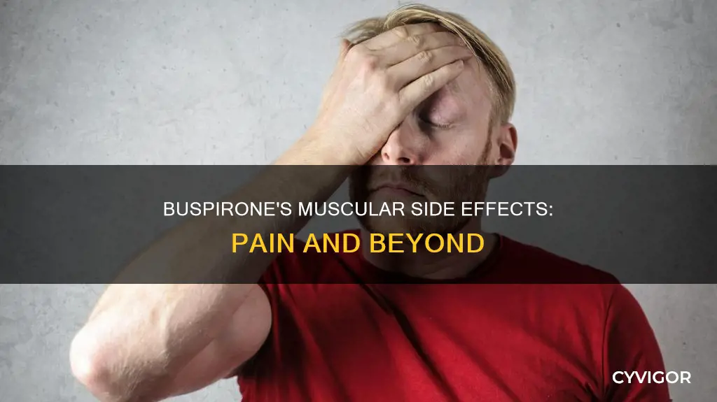 can buspirone cause muscle pain