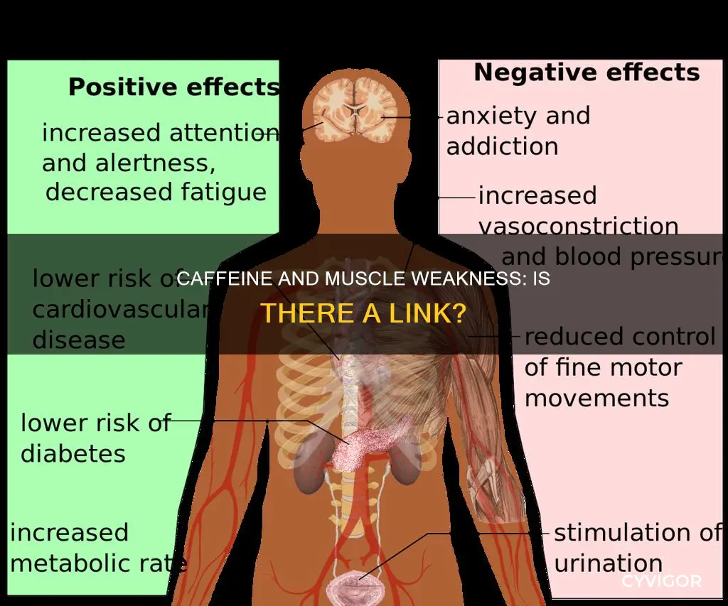 can caffeine cause muscle weakness