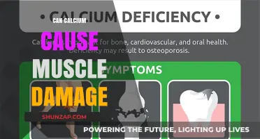Calcium's Impact: Muscle Damage or Support?