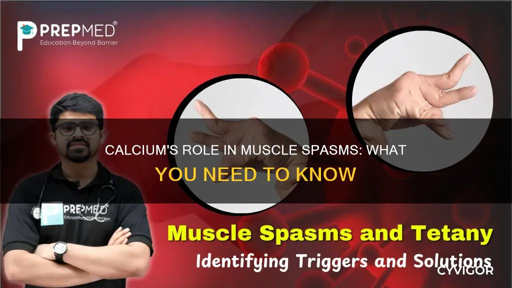 can calcium cause muscle spasm