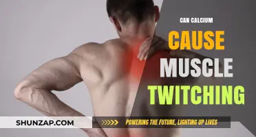 Calcium's Role in Muscle Twitching and Spasms