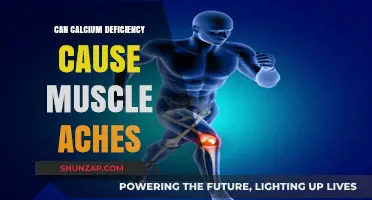 Calcium Deficiency: The Link to Muscle Pain and Aches