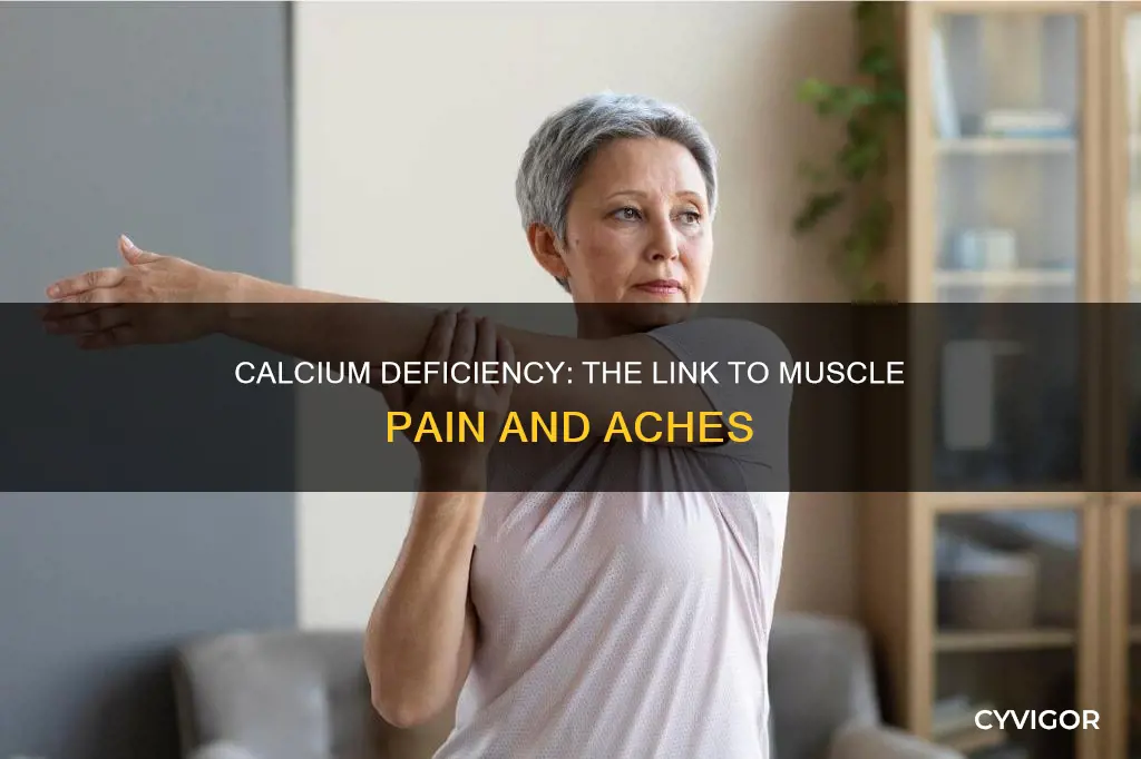 can calcium deficiency cause muscle aches
