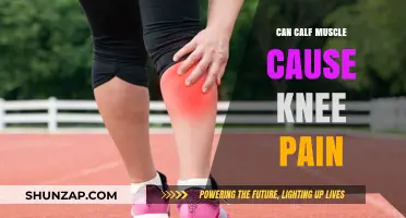 Calf Muscle Imbalance: A Surprising Cause of Knee Pain