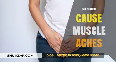 How Candida Infection Triggers Muscle Aches and Pains