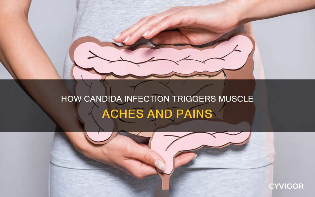 can candida cause muscle aches