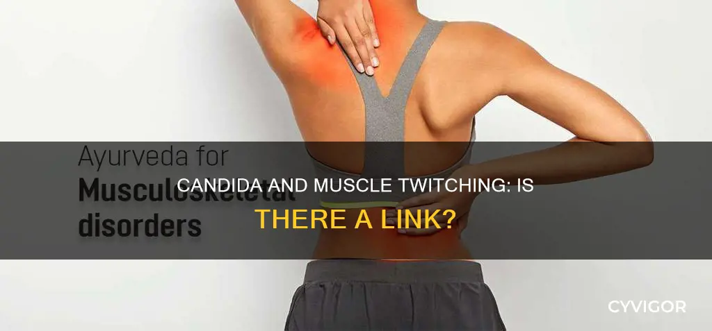 can candida cause muscle twitching