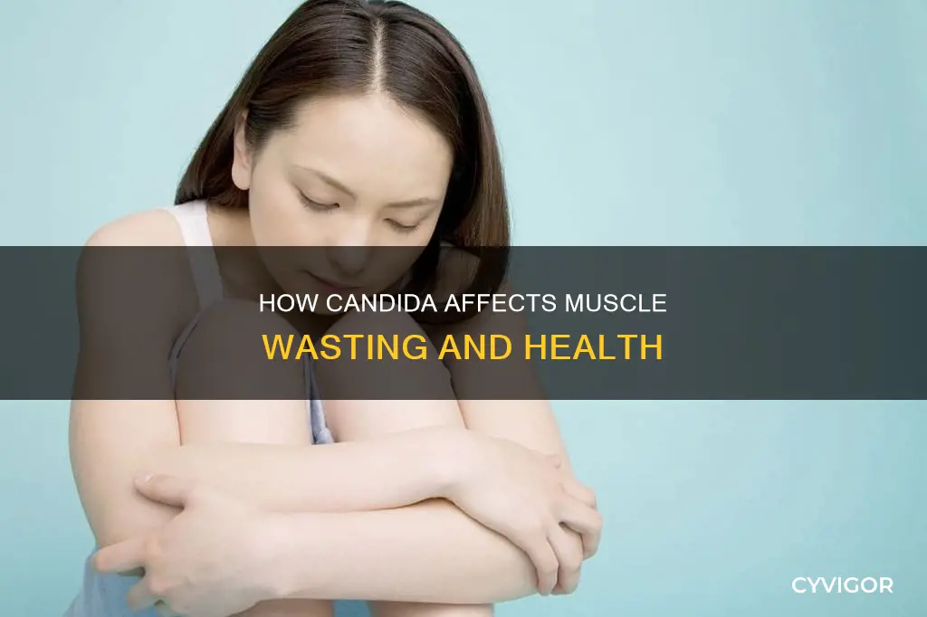 can candida cause muscle wasting