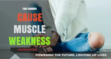 How Candida Affects Muscle Weakness and Fatigue