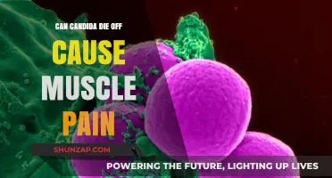 How Candida Die-Off Triggers Muscle Pain
