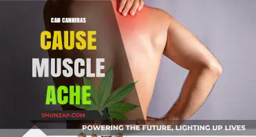Cannabis and Muscle Aches: What's the Connection?
