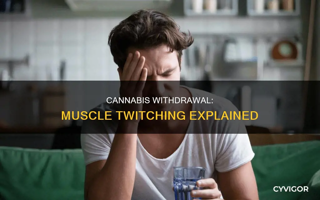 can cannibas withdrawal cause muscle twitching
