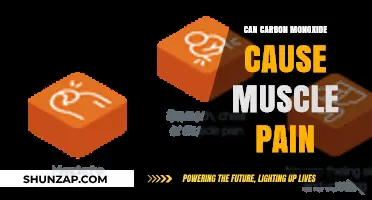 Carbon Monoxide Poisoning: Muscle Pain and Other Symptoms