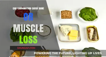 Carbonation and Health: Bone and Muscle Loss?