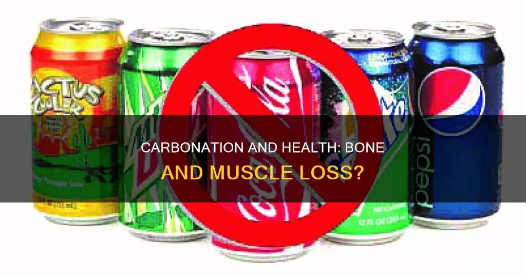 can carbonation cause bone or muscle loss