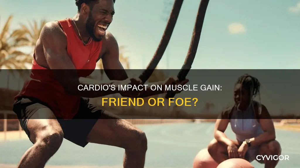 can cardio cause muscle gain