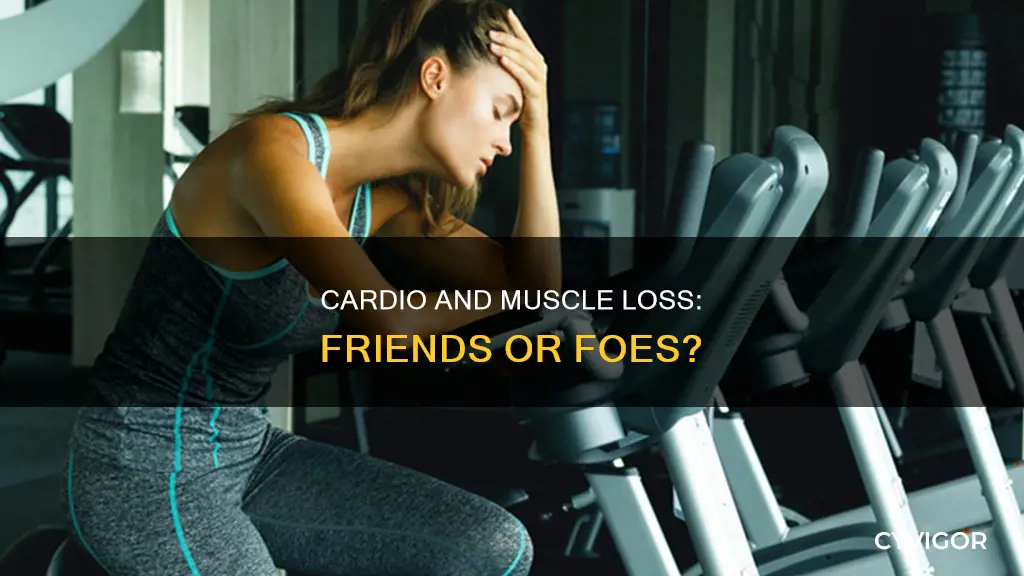 can cardio cause muscle loss